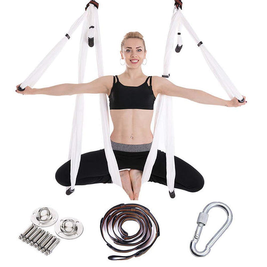 Aerial Yoga Swing Set Trapeze